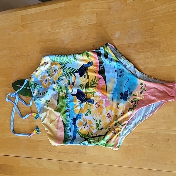 FARM Rio Colorful Rio One Piece Swimsuit - Picture 3 of 14